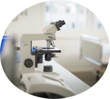 Nephrologische Sprechstunde