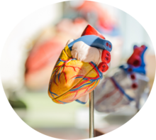 Bluthochdruck-Sprechstunde